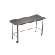 HYGIENOX Mobile Table with Rear Rail